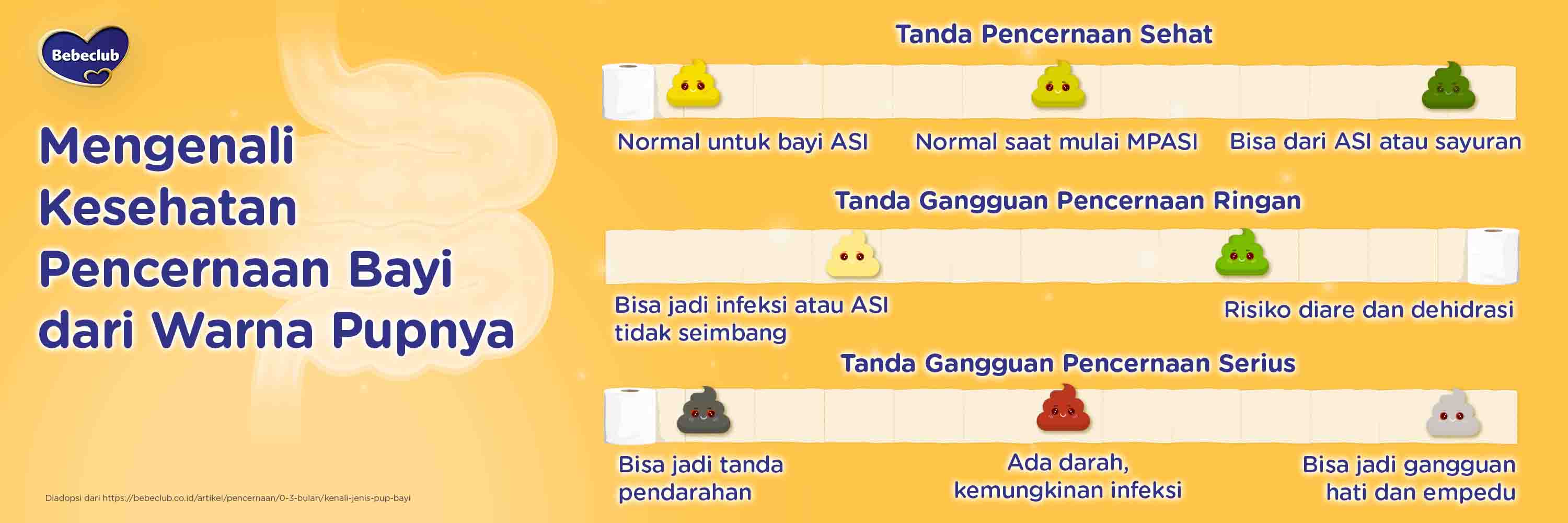 Infographic Image